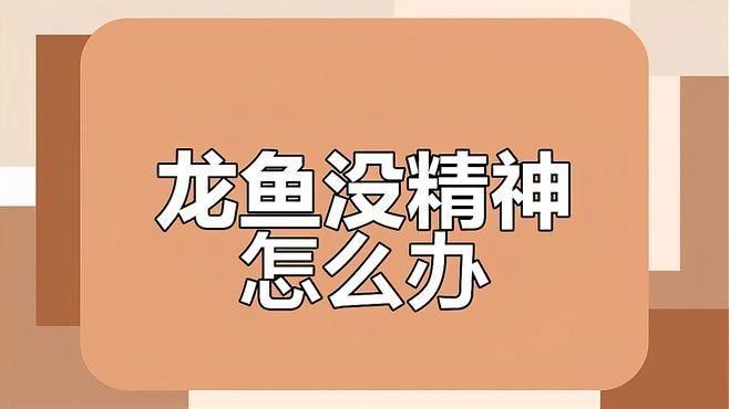 龍魚體外寄生蟲治療全民小視頻，龍魚體外寄生蟲治療全攻略（龍魚體外寄生蟲如何處理）