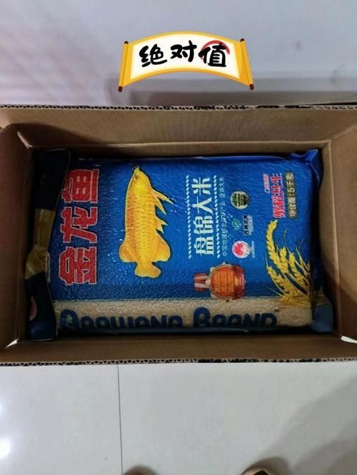 察右中旗金龍魚價格表及圖片2023年具體價格表及圖片2023年（右中旗金龍魚價格表）