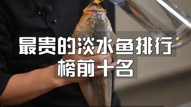 中國十大名貴魚排行榜（中國10大名貴淡水魚排行榜）