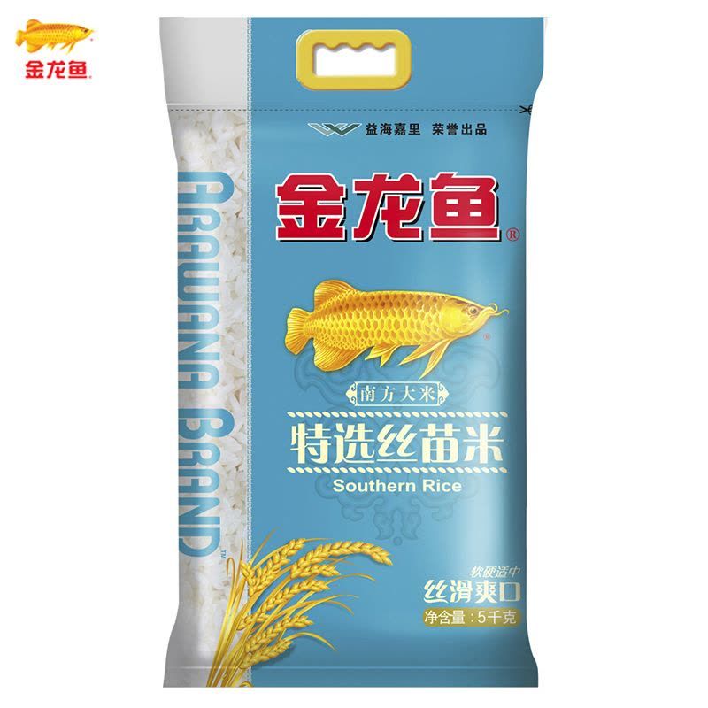 中小型雷龍魚種類介紹（中小型雷龍魚是一種常見的中小型雷龍魚是一種常見的中小型雷龍魚）