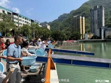 鎮巴龍魚的市場價格（鎮巴縣有哪些知名的龍魚養殖企業鎮巴龍魚養殖技巧）