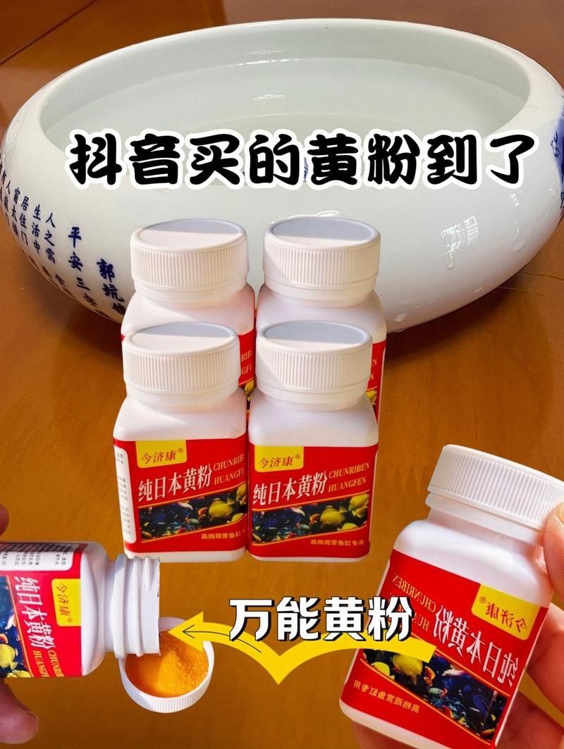 龍魚幼苗視頻教程：龍魚幼苗飼養和孵化過程揭秘（龍魚幼苗視頻教程，龍魚幼苗喂養全過程揭秘）