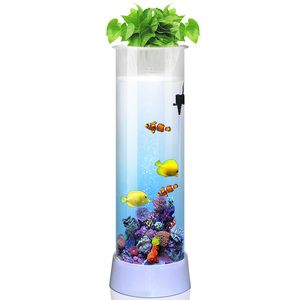 龍魚之巔論壇官網：龍魚之巔論壇是一個專注于龍魚好者交流平臺（龍魚之巔論壇官網）