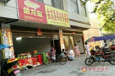 黑龍魚大概多少錢一斤，黑龍魚多少錢一斤（黑龍魚大概多少錢一斤）