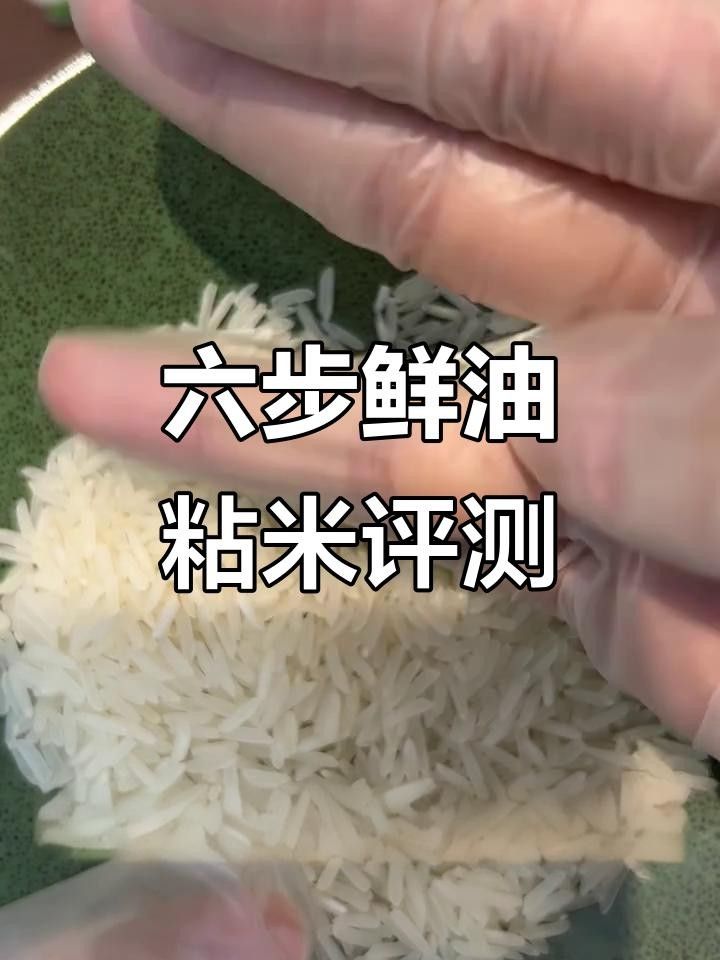 龍華金龍魚