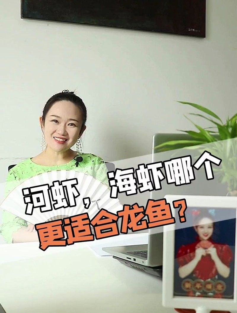 龍魚可以吃海蝦嗎