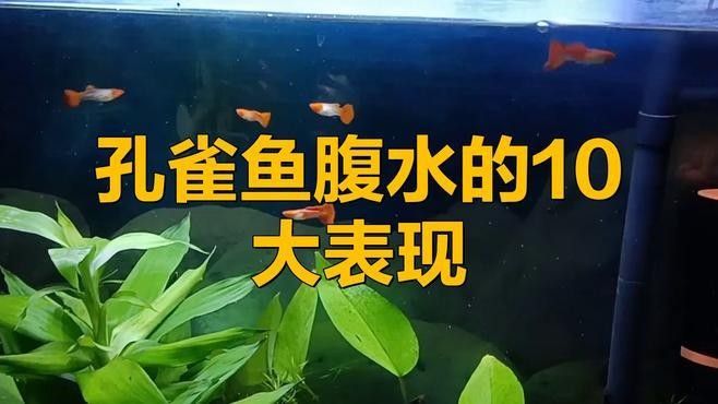 水族病最嚴重三個特點