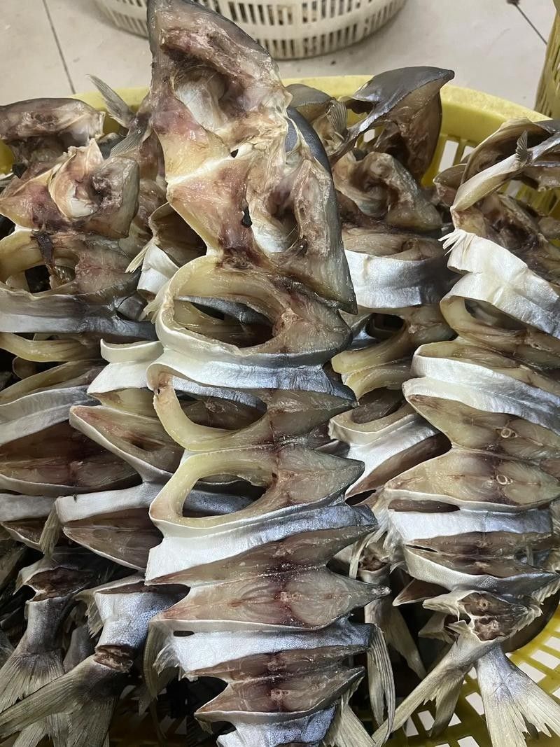 湛江金鯧魚