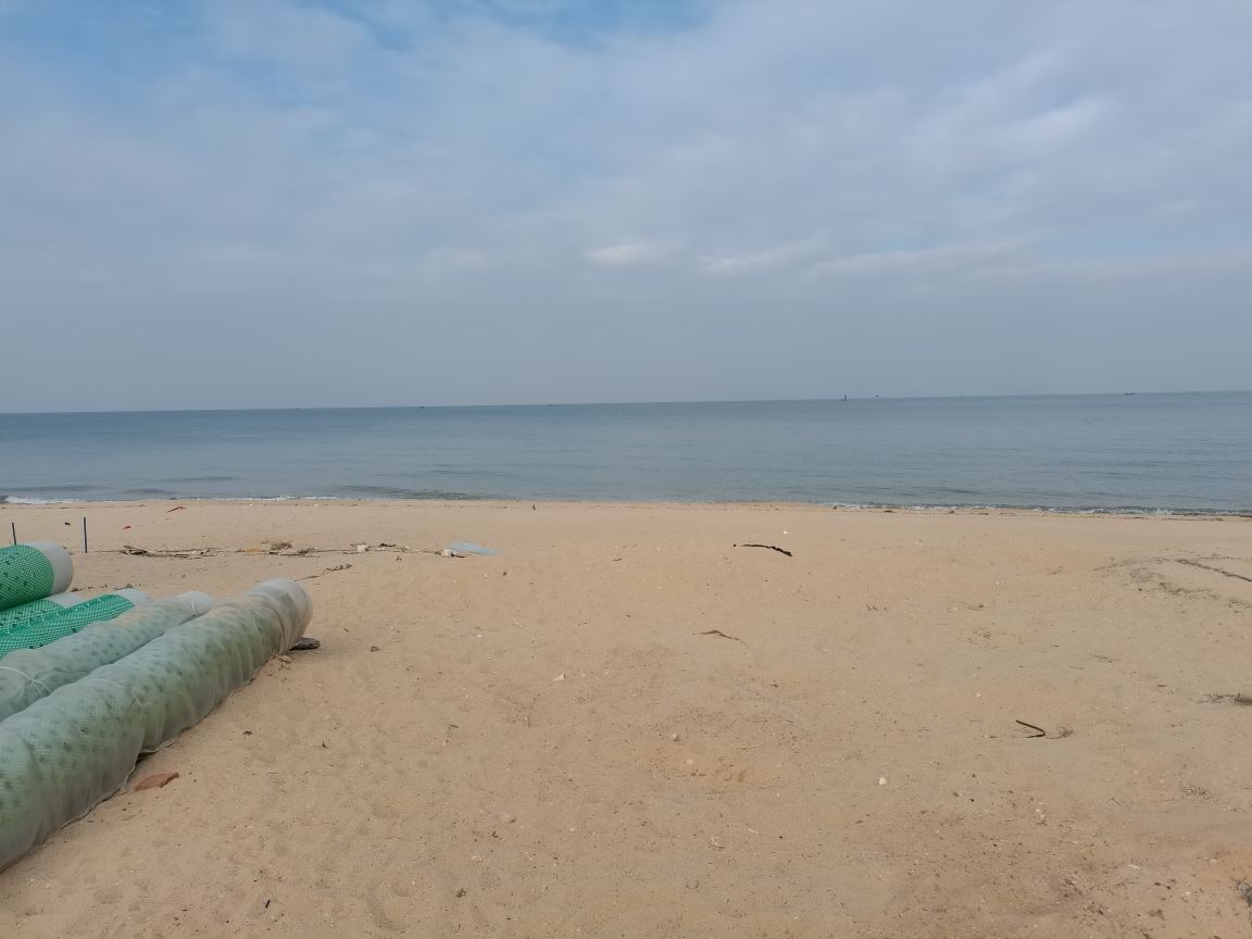 湛江金鯧魚
