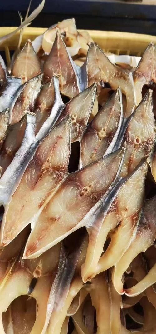 湛江金鯧魚