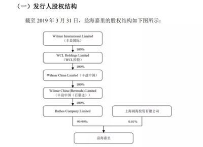一條小龍魚多少錢啊