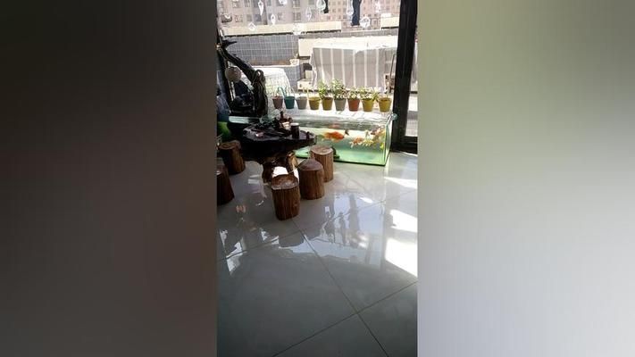 招財(cái)鯉魚(yú)半臂紋身圖案大全（招財(cái)鯉魚(yú)紋身手臂）