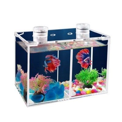 青島哪里做魚缸加工的多些啊(青島哪里做魚缸加工的多些啊視頻)