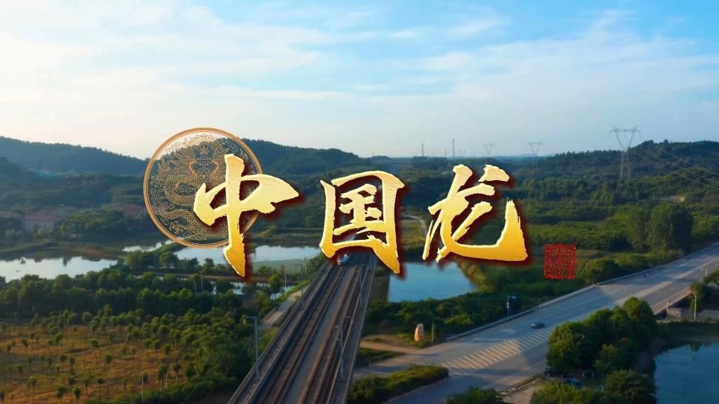 中國龍國語高清在線觀看