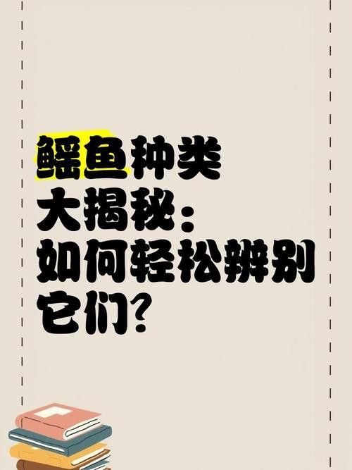 魟魚和鰩魚和蝠鲼的區別圖片