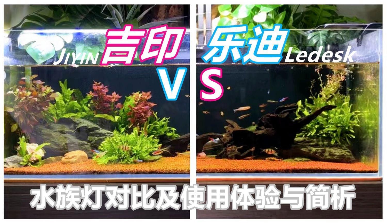 吉印水族是雜牌子嗎知乎