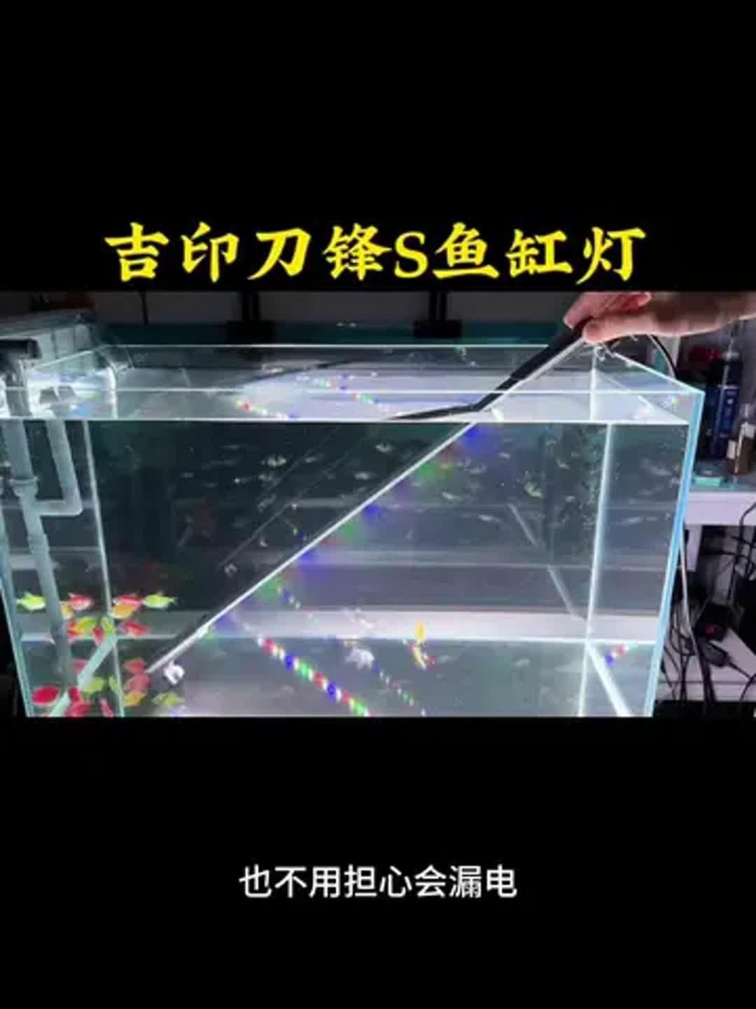 吉印水族是雜牌子嗎知乎