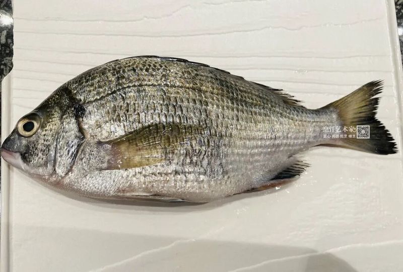 廣東叫立魚是什么魚
