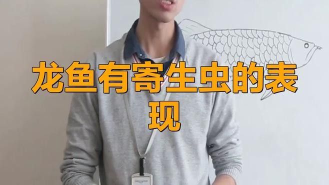龍魚鱗片發白是什么情況引起的
