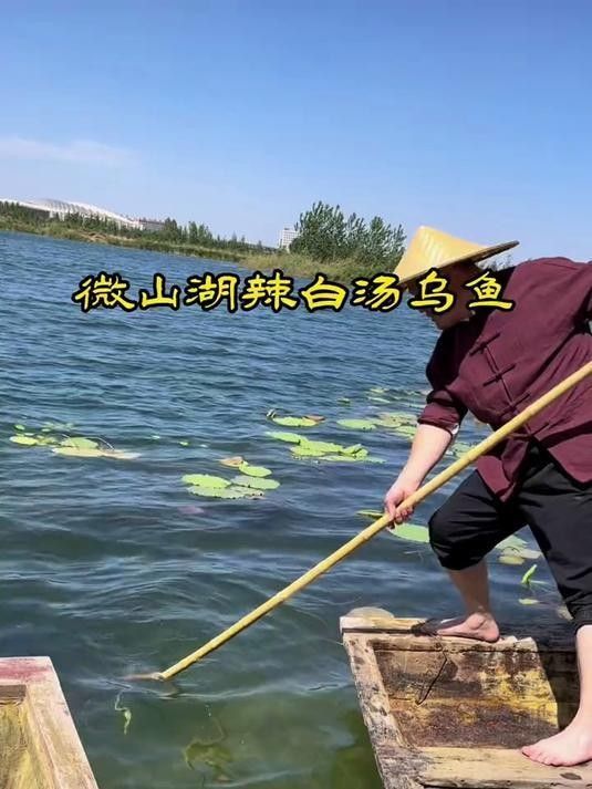 微山湖特色魚