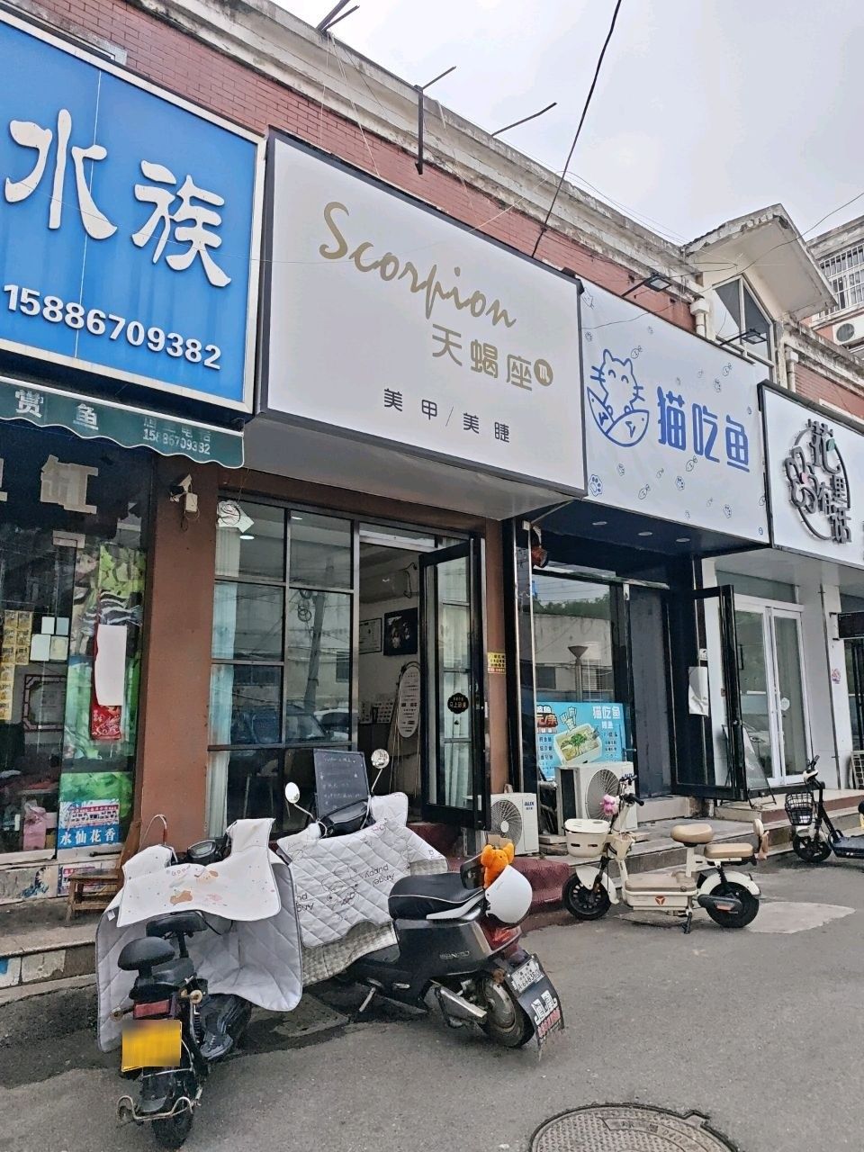 汝州吃魚的地方