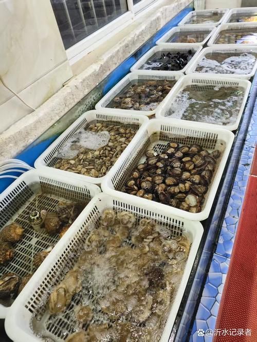 揭陽水族批發市場