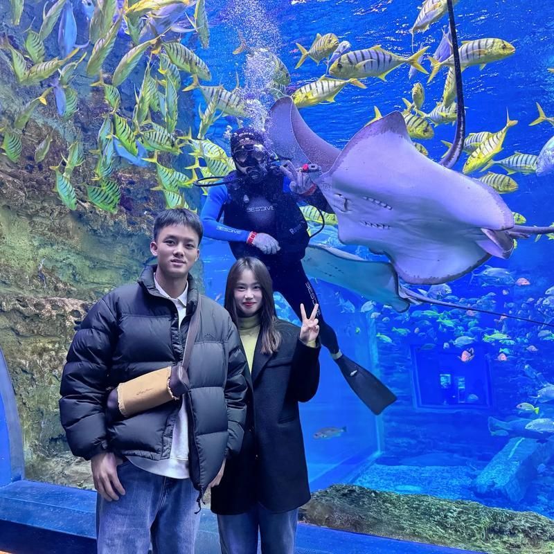 襄陽水族批發市場