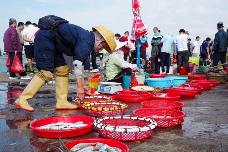 安慶觀賞魚批發市場