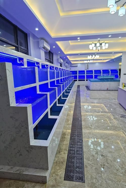 滁州魚缸批發(fā)市場