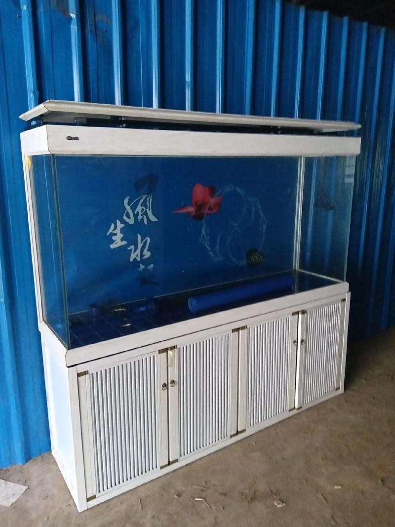 滁州魚缸批發(fā)市場