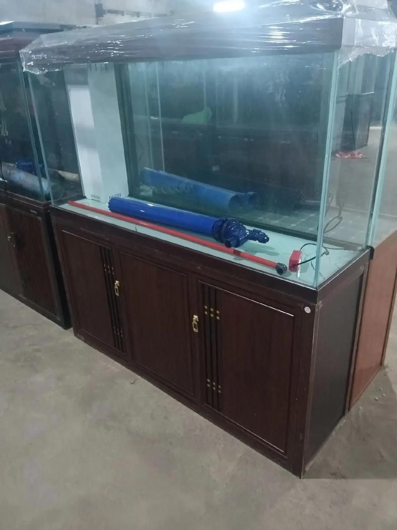 滁州魚缸批發(fā)市場