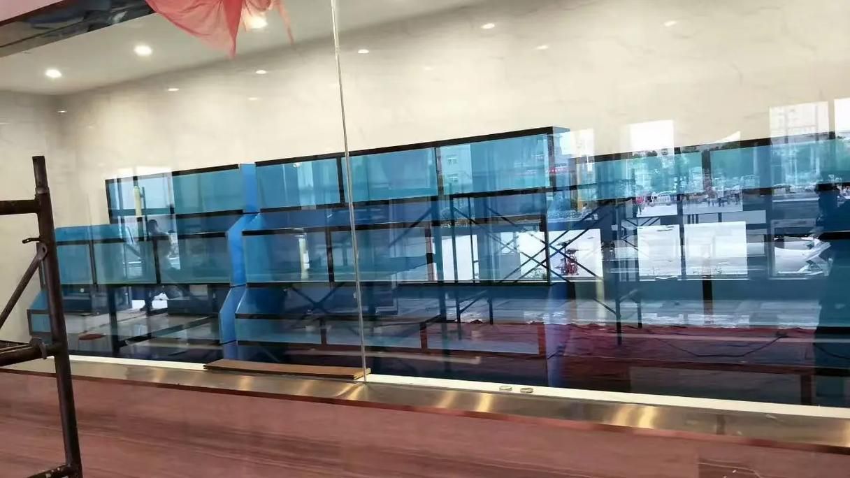徐州魚缸批發市場