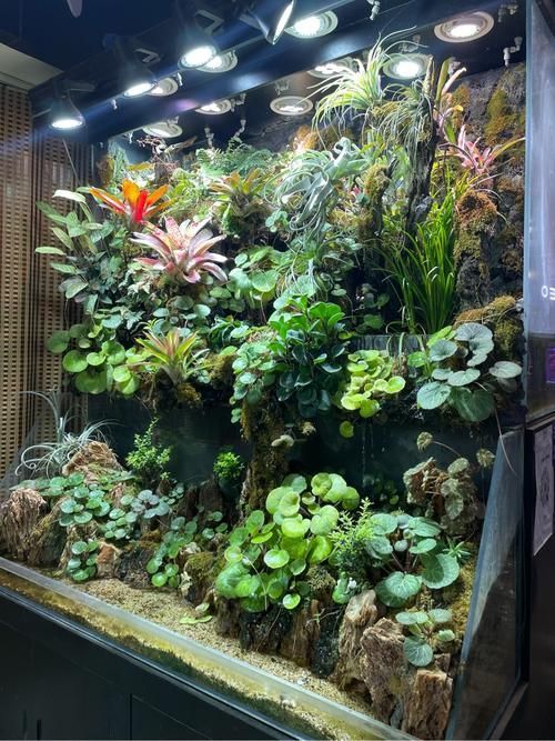 昆明水族批發市場
