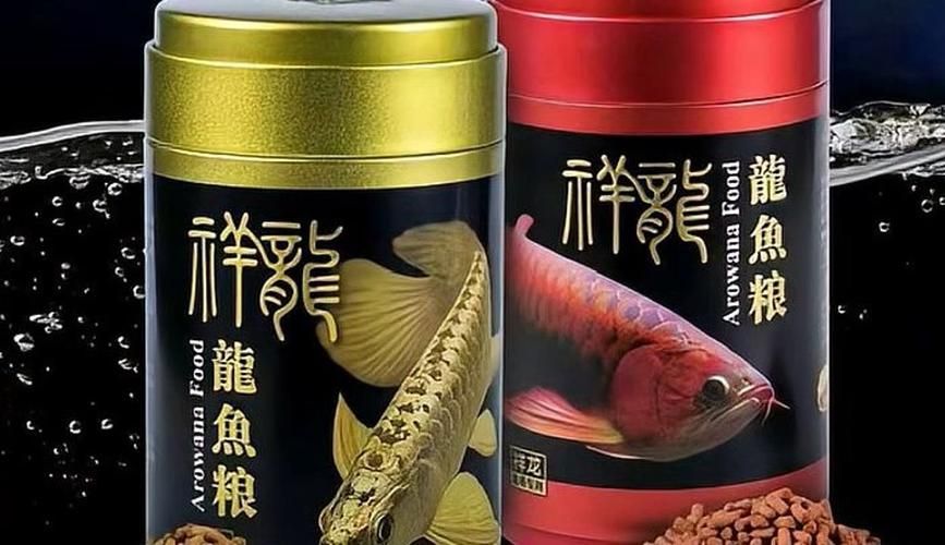 江門魚缸批發市場