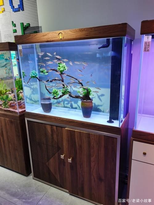 濟南魚缸批發市場