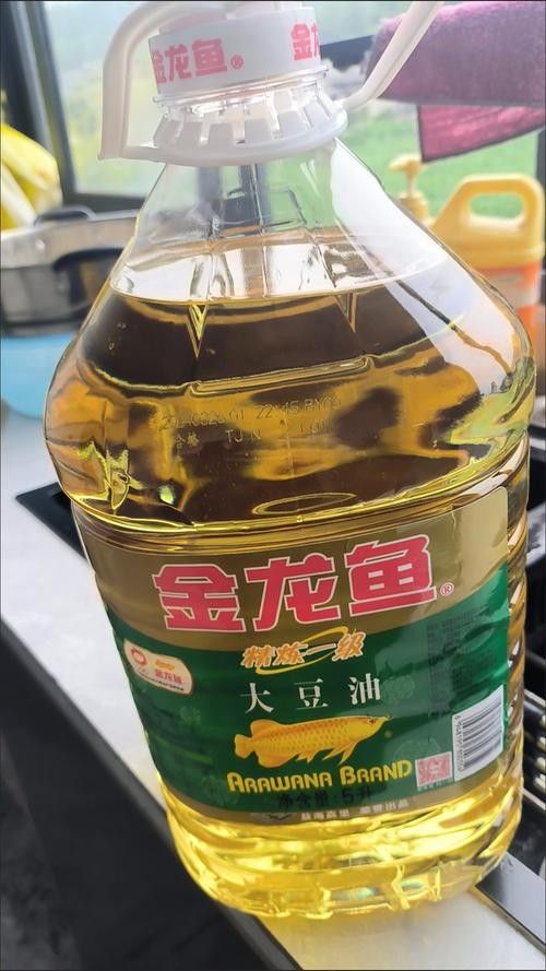 金龍魚的油什么油最好