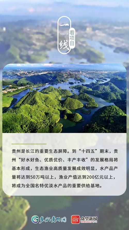 貴陽水族批發(fā)市場