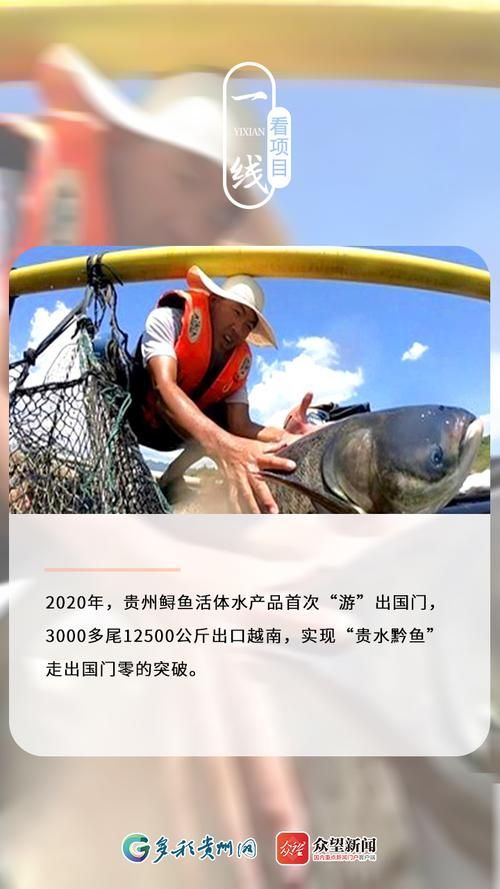 貴陽水族批發(fā)市場