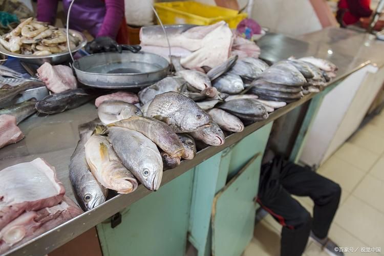 香港龍魚批發(fā)市場