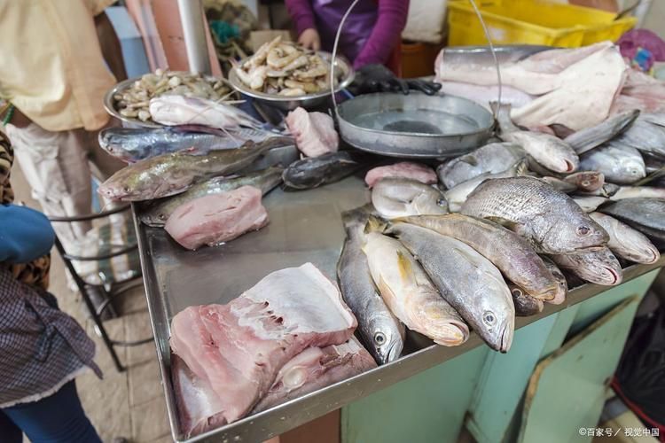 香港龍魚批發(fā)市場