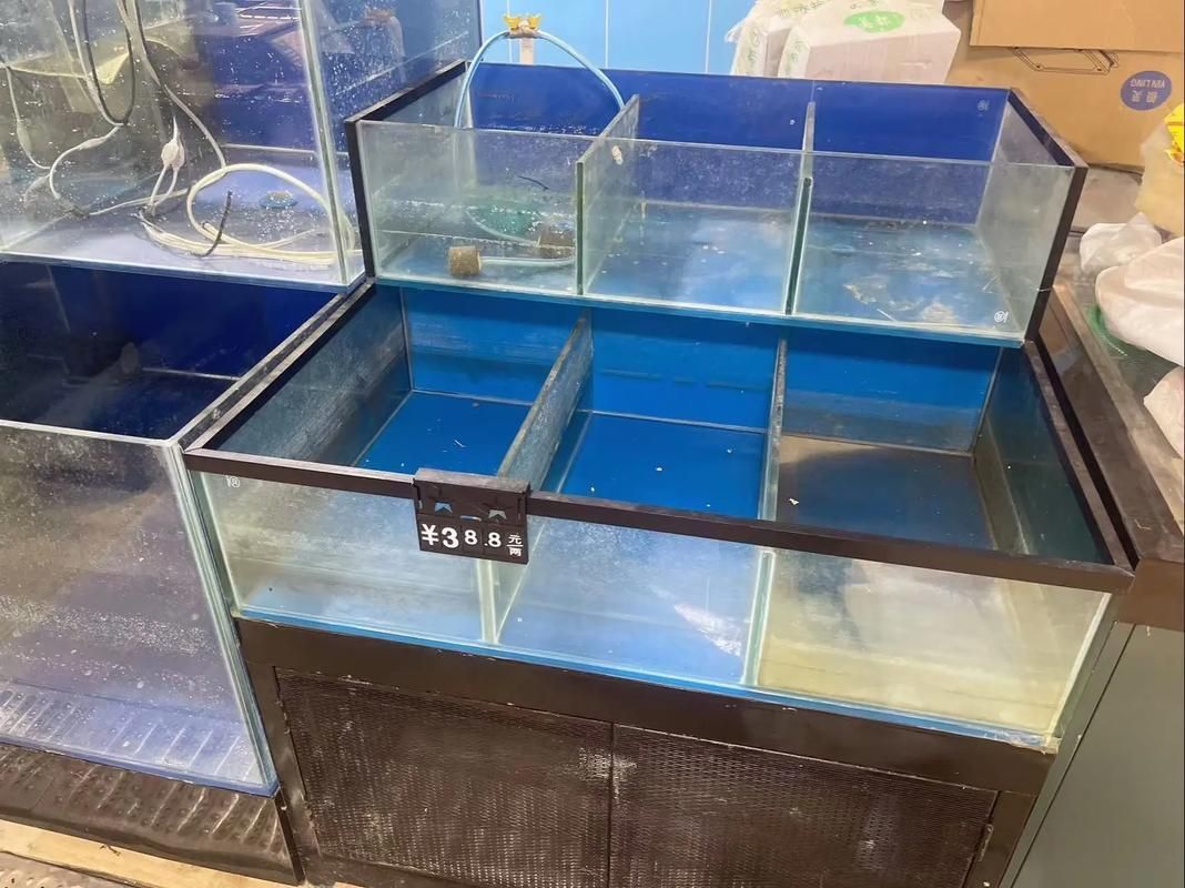 邵陽魚缸批發市場