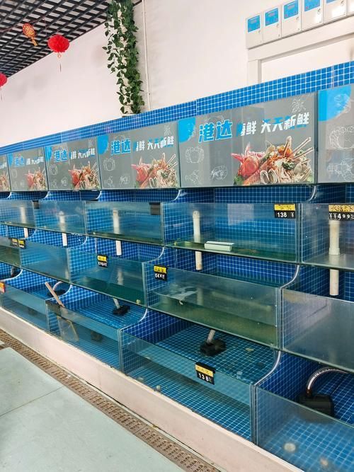 邵陽魚缸批發市場