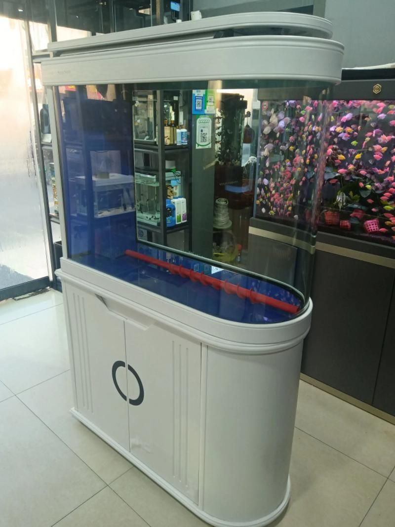 邵陽魚缸批發市場