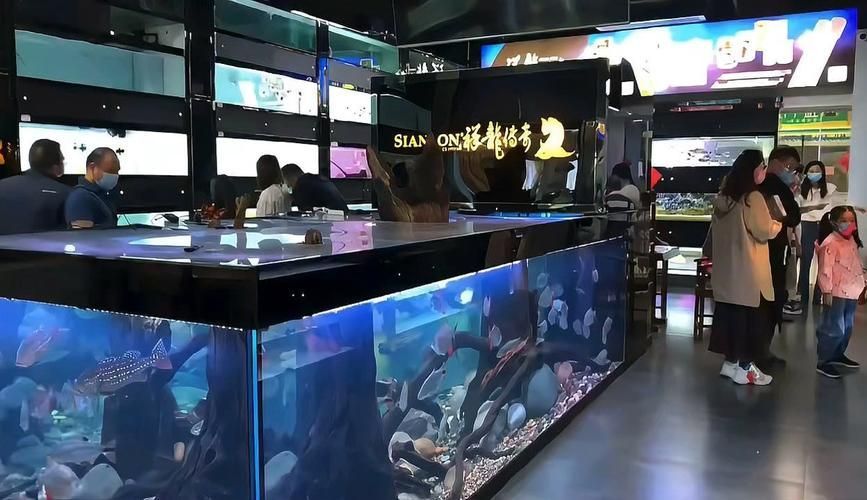 北京水族批發市場