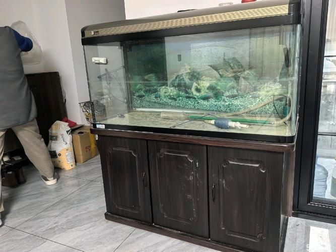 西安魚缸批發市場
