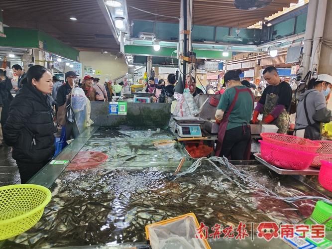 南寧觀賞魚批發市場