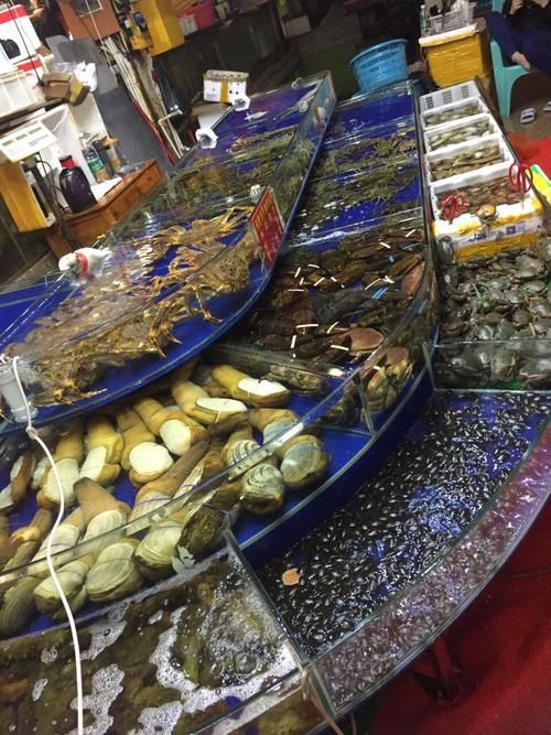湛江魚缸批發市場