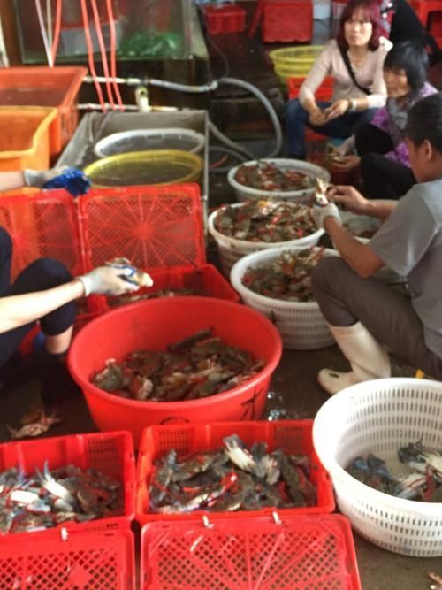 湛江魚缸批發市場