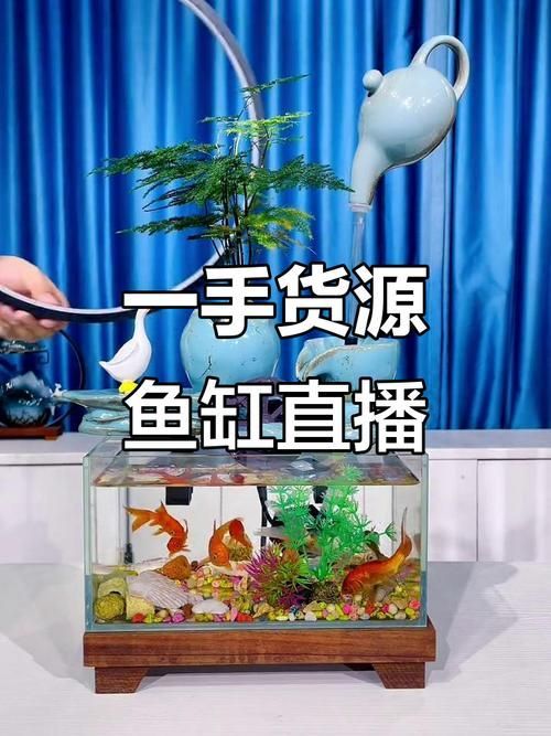 廊坊魚缸批發市場