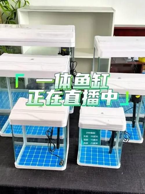 廊坊魚缸批發市場